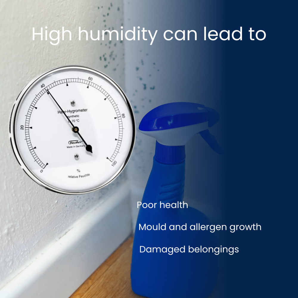 Fischer hygrometer on a wall with mould growing behind it, showing what high humidity can lead to