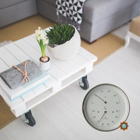 Wall hygrometer beside a white coffee table with plants in a bright living room