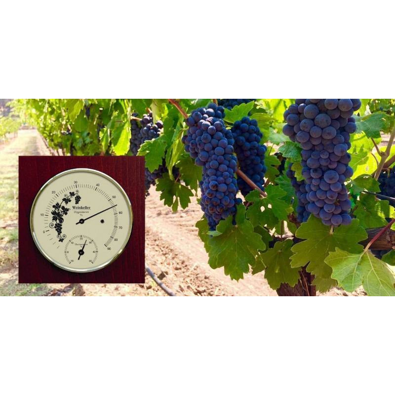 Wine Cellar humility &amp; Temperature on Mahogany Gauge